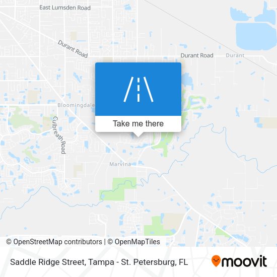 Saddle Ridge Street map