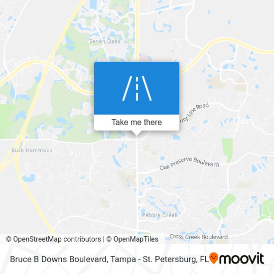Bruce B Downs Boulevard map