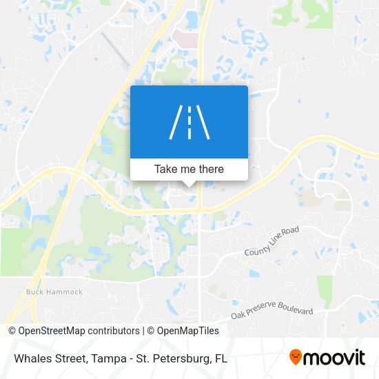 Whales Street map