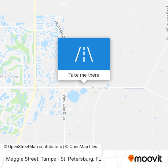 Maggie Street map