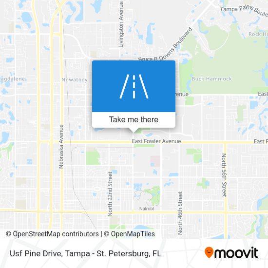 Mapa de Usf Pine Drive