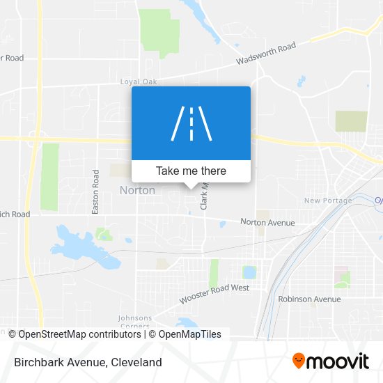 Mapa de Birchbark Avenue