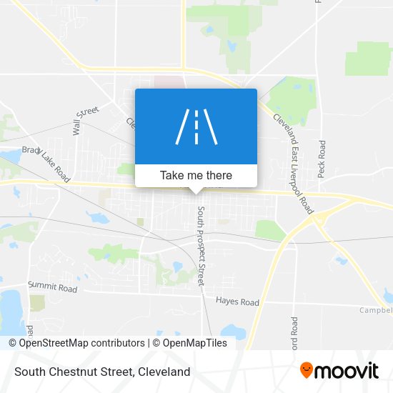 Mapa de South Chestnut Street