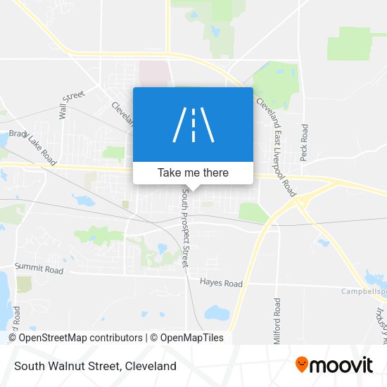 Mapa de South Walnut Street