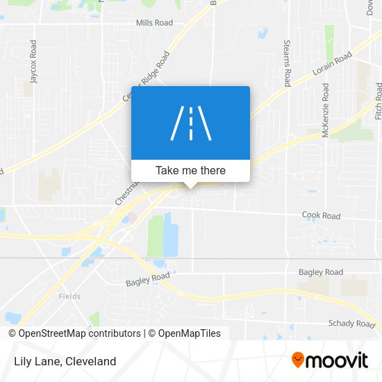 Mapa de Lily Lane