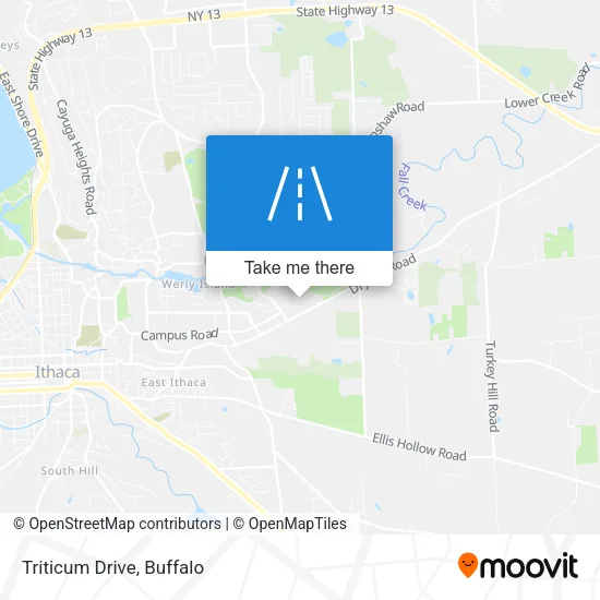 Triticum Drive map