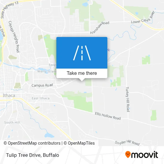 Tulip Tree Drive map