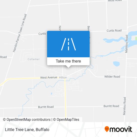 Mapa de Little Tree Lane