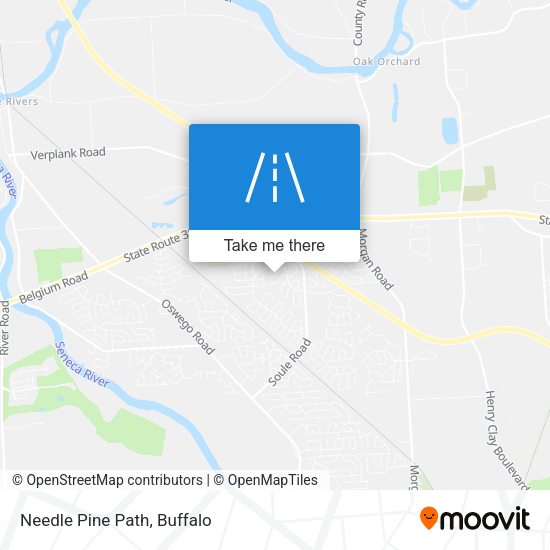 Mapa de Needle Pine Path