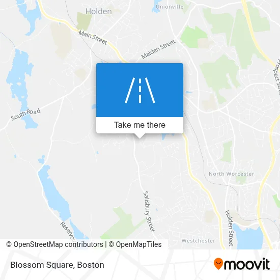 Blossom Square map