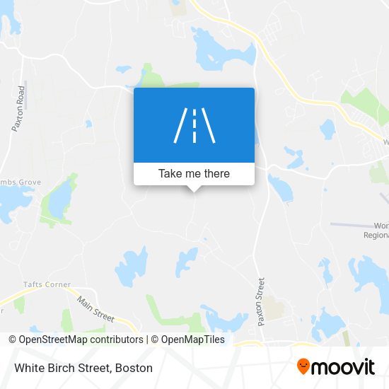 Mapa de White Birch Street