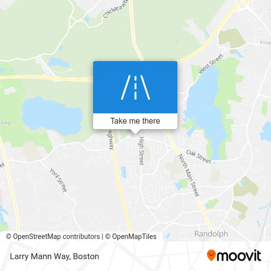 Larry Mann Way map