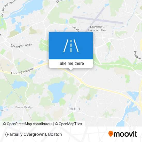 (Partially Overgrown) map