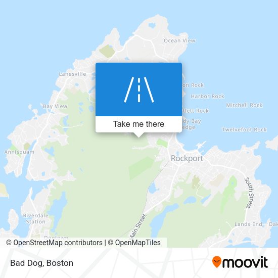 Bad Dog map