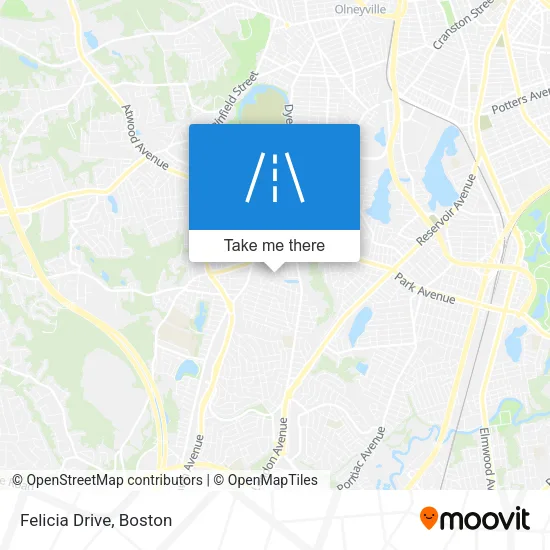 Felicia Drive map