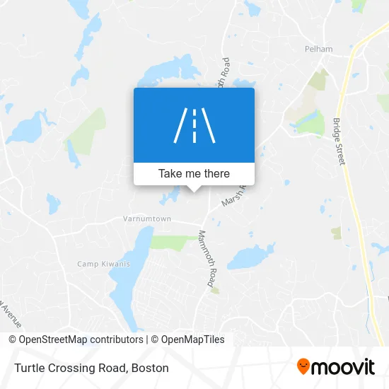 Turtle Crossing Road map