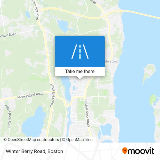 Winter Berry Road map