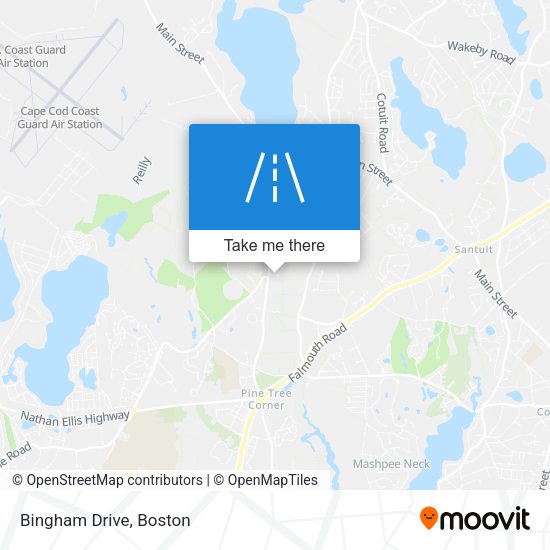 Mapa de Bingham Drive