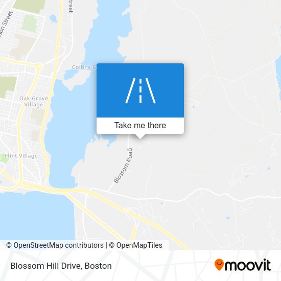 Mapa de Blossom Hill Drive