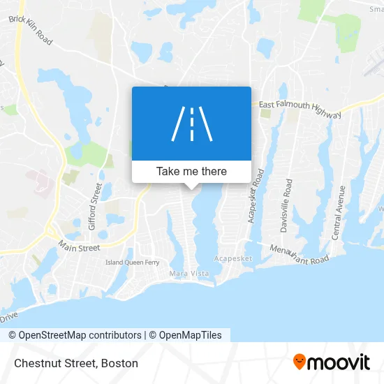 Chestnut Street map