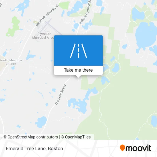 Emerald Tree Lane map