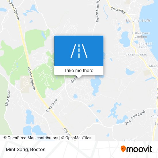 Mapa de Mint Sprig