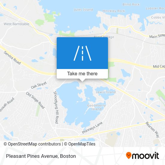 Mapa de Pleasant Pines Avenue
