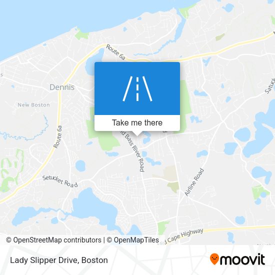 Mapa de Lady Slipper Drive