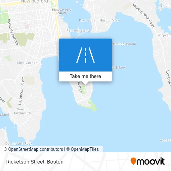 Ricketson Street map