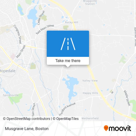 Mapa de Musgrave Lane