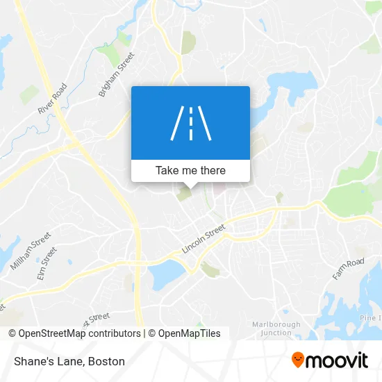 Shane's Lane map