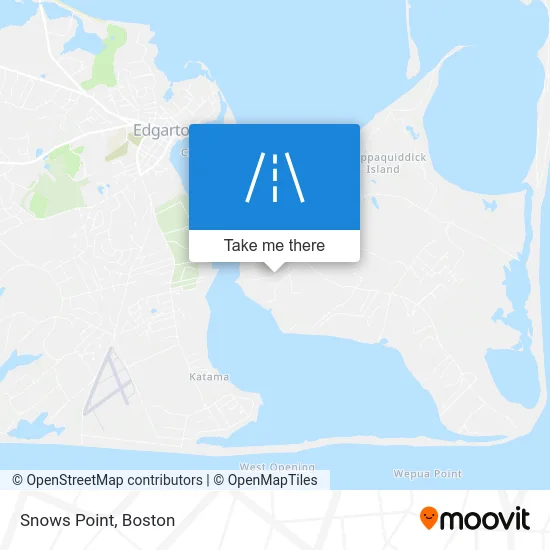 Snows Point map