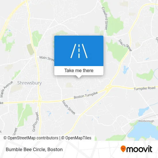 Bumble Bee Circle map