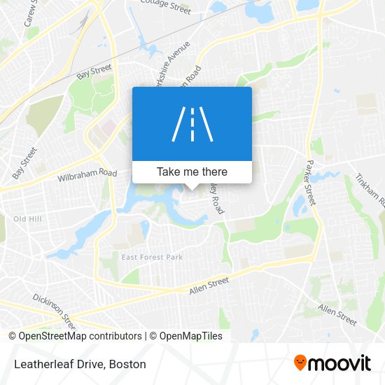 Mapa de Leatherleaf Drive
