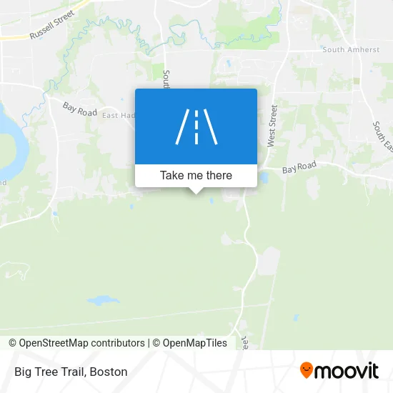 Big Tree Trail map