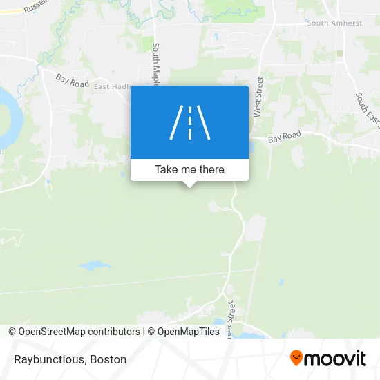 Raybunctious map
