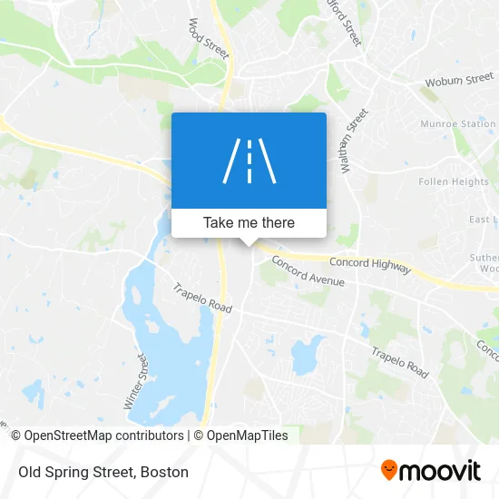 Old Spring Street map