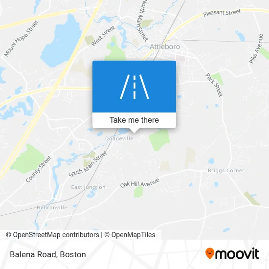 Balena Road map