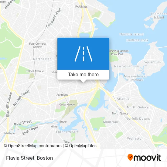 Flavia Street map