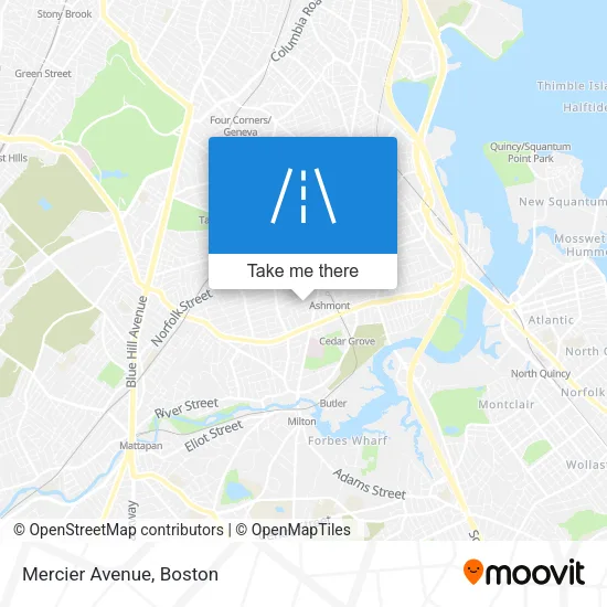 Mercier Avenue map