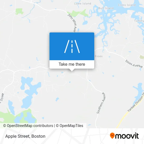 Apple Street map