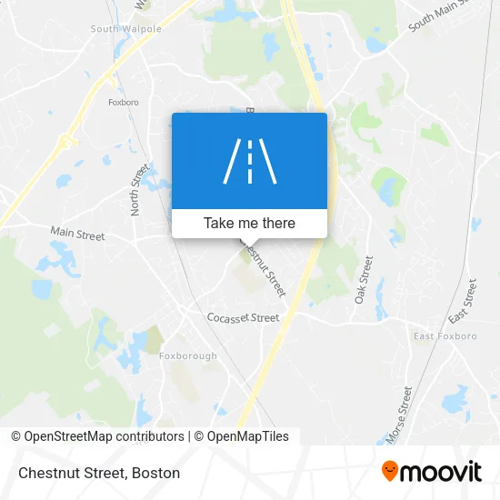 Chestnut Street map