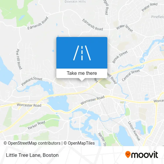 Little Tree Lane map