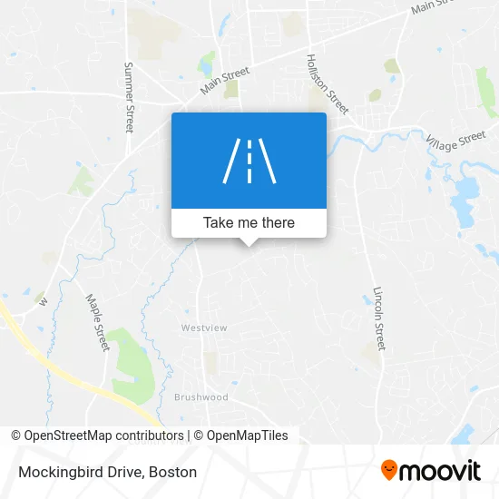 Mockingbird Drive map