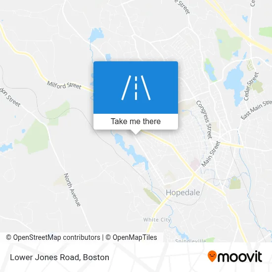 Lower Jones Road map