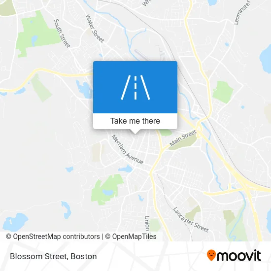 Blossom Street map