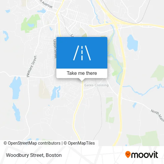 Woodbury Street map
