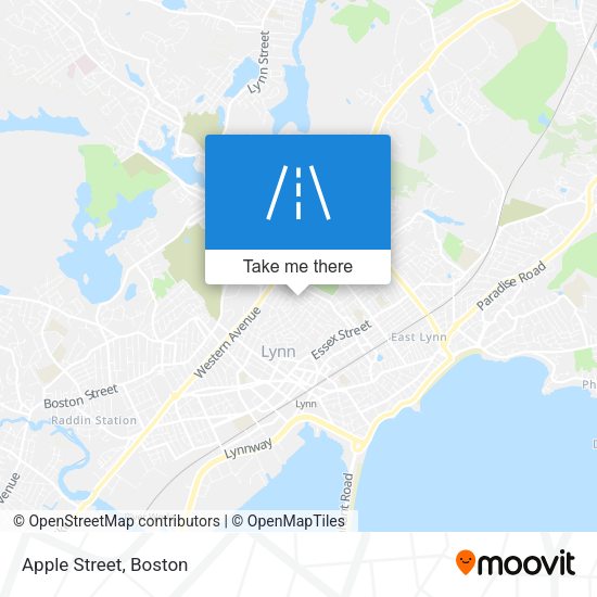 Apple Street map