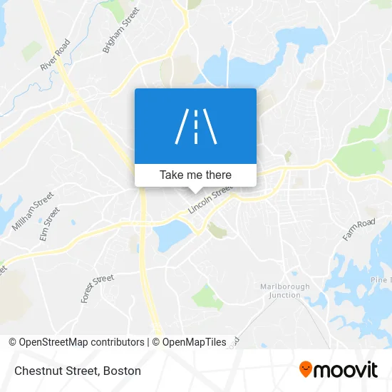 Chestnut Street map