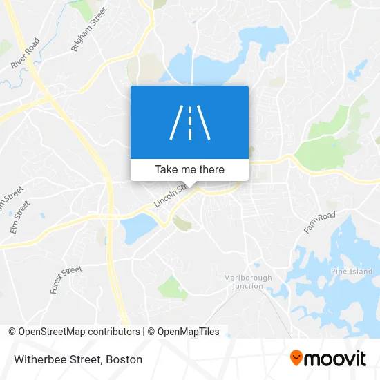 Witherbee Street map